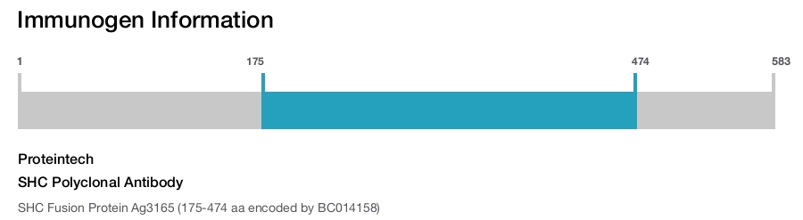 SHC Polyclonal Antibody