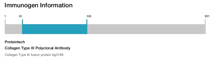 Collagen Type IX Polyclonal Antibody