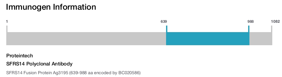 SFRS14 Polyclonal Antibody