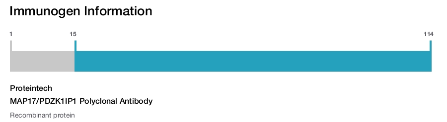 MAP17/PDZK1IP1 Polyclonal Antibody