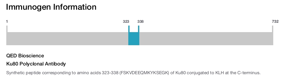 Ku80 Polyclonal Antibody