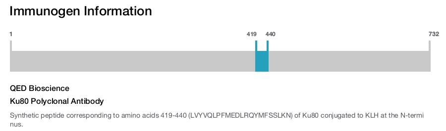Ku80 Polyclonal Antibody