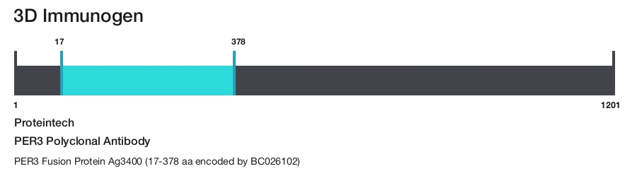 PER3 Polyclonal Antibody