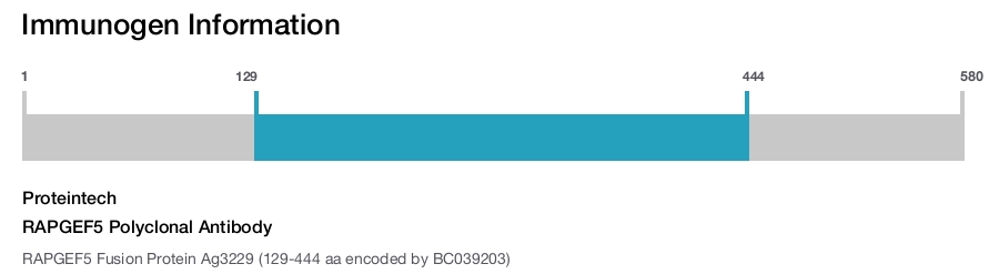 RAPGEF5 Polyclonal Antibody