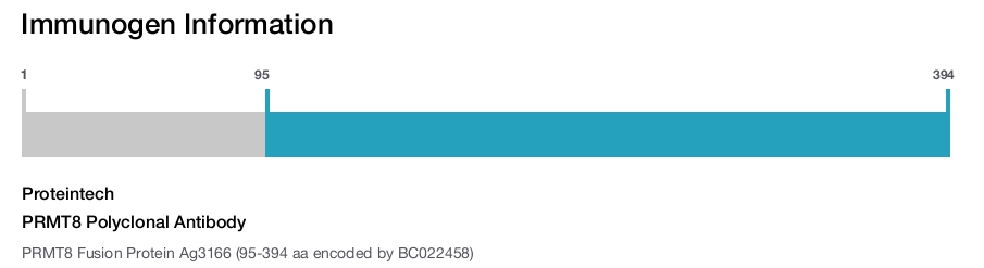 PRMT8 Polyclonal Antibody