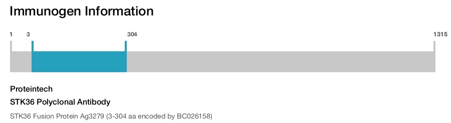 STK36 Polyclonal Antibody