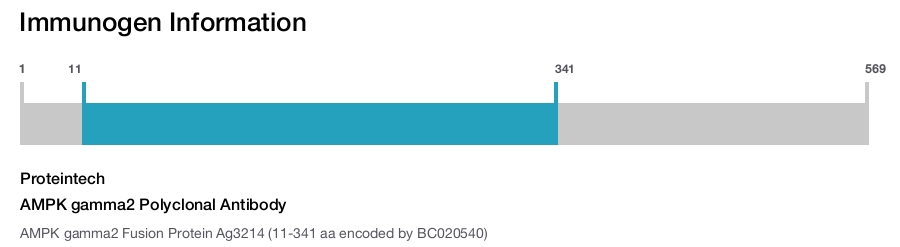AMPK gamma2 Polyclonal Antibody