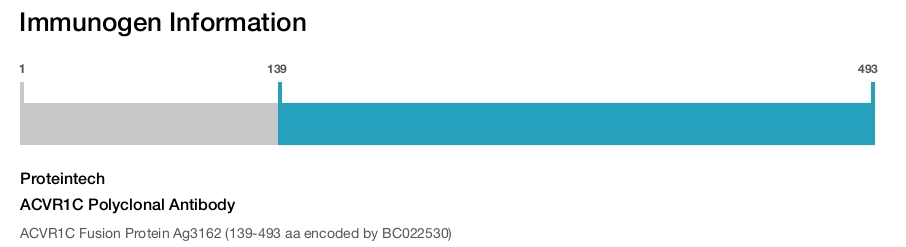 ACVR1C Polyclonal Antibody