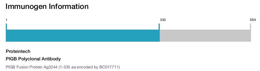 PIGB Polyclonal Antibody