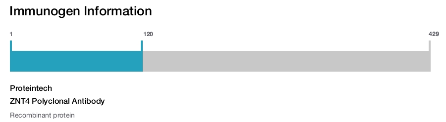 ZNT4 Polyclonal Antibody