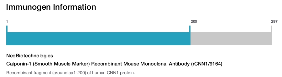 Calponin-1 (Smooth Muscle Marker) Recombinant Mouse Monoclonal Antibody (rCNN1/9164)