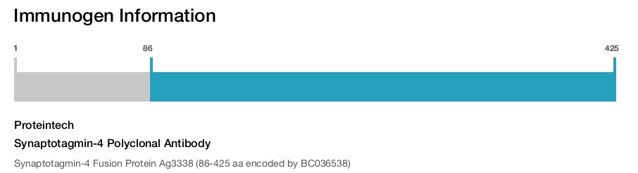 Synaptotagmin-4 Polyclonal Antibody