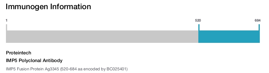 IMP5 Polyclonal Antibody