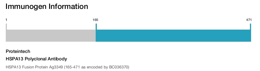 HSPA13 Polyclonal Antibody