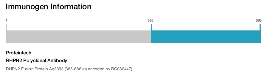 RHPN2 Polyclonal Antibody