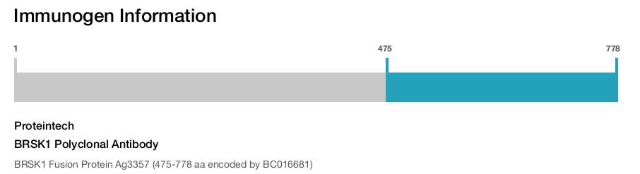 BRSK1 Polyclonal Antibody