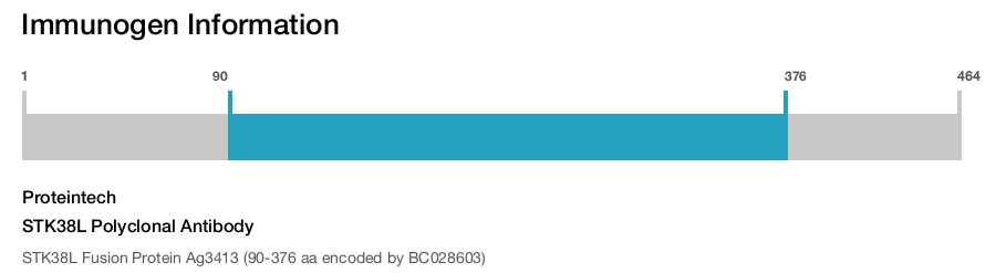 STK38L Polyclonal Antibody