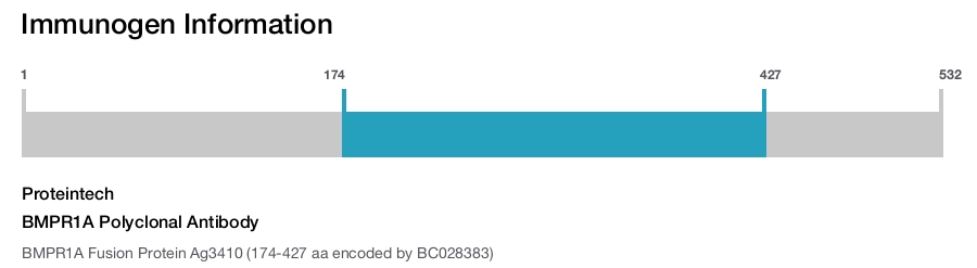 BMPR1A Polyclonal Antibody