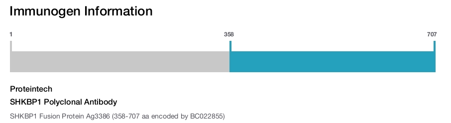 SHKBP1 Polyclonal Antibody