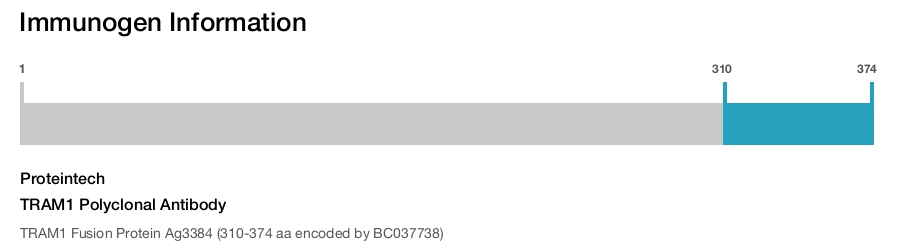 TRAM1 Polyclonal Antibody
