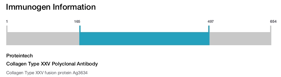 Collagen Type XXV Polyclonal Antibody