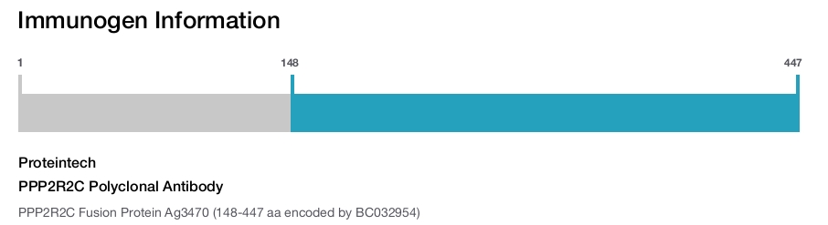 PPP2R2C Polyclonal Antibody