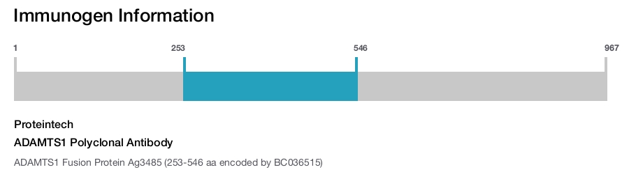 ADAMTS1 Polyclonal Antibody