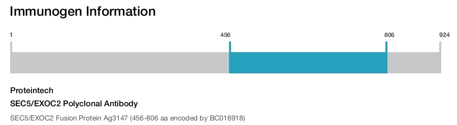SEC5/EXOC2 Polyclonal Antibody