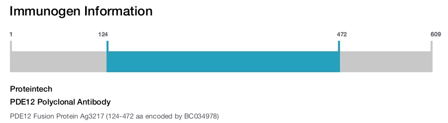 PDE12 Polyclonal Antibody