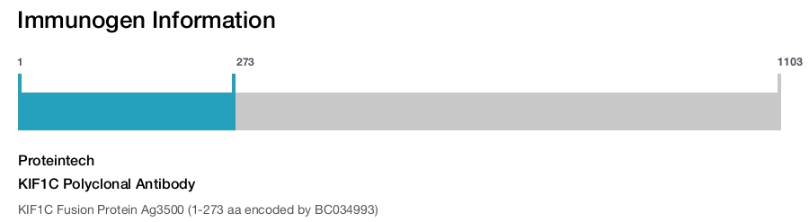 KIF1C Polyclonal Antibody