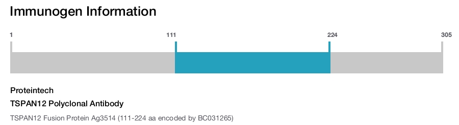 TSPAN12 Polyclonal Antibody