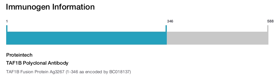 TAF1B Polyclonal Antibody
