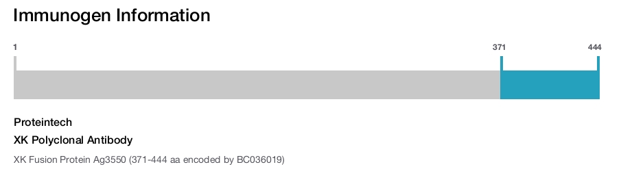 XK Polyclonal Antibody