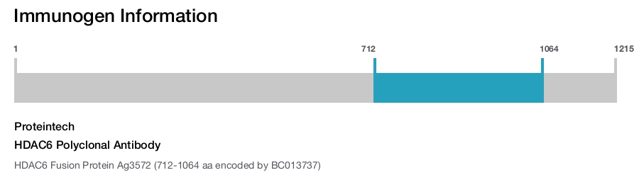 HDAC6 Polyclonal Antibody