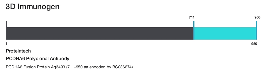 PCDHA6 Polyclonal Antibody
