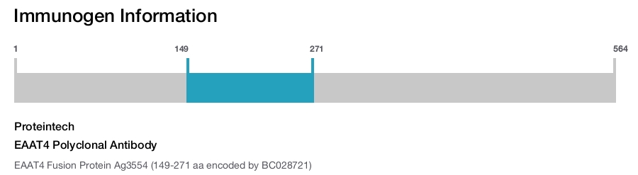 EAAT4 Polyclonal Antibody