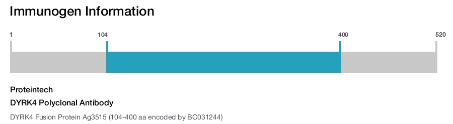 DYRK4 Polyclonal Antibody
