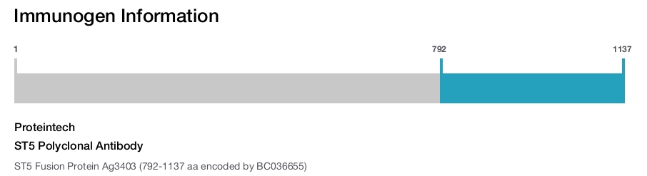 ST5 Polyclonal Antibody