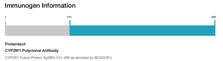 CYP2W1 Polyclonal Antibody