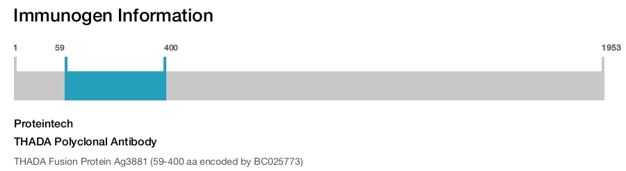 THADA Polyclonal Antibody