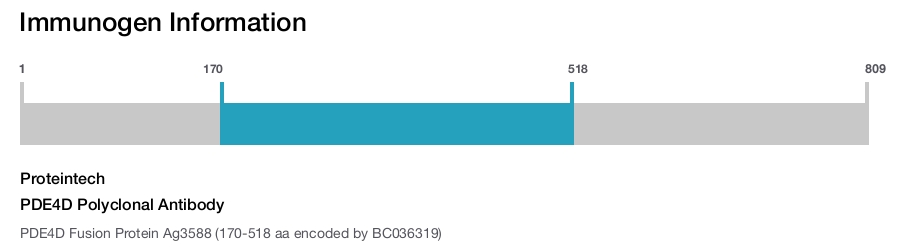 PDE4D Polyclonal Antibody