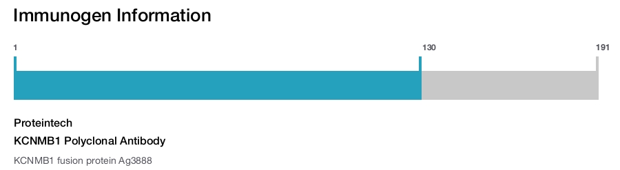 KCNMB1 Polyclonal Antibody
