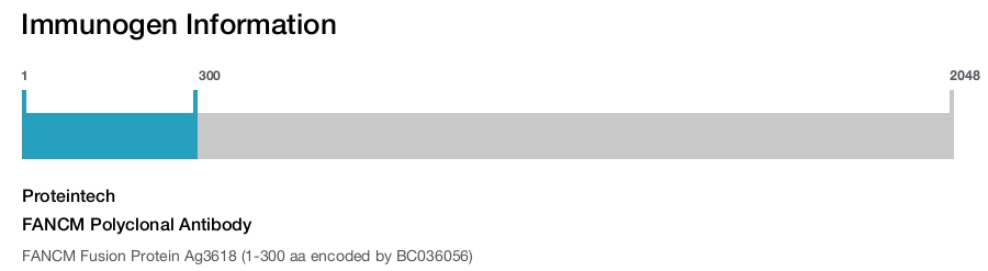 FANCM Polyclonal Antibody