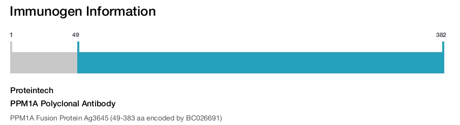 PPM1A Polyclonal Antibody