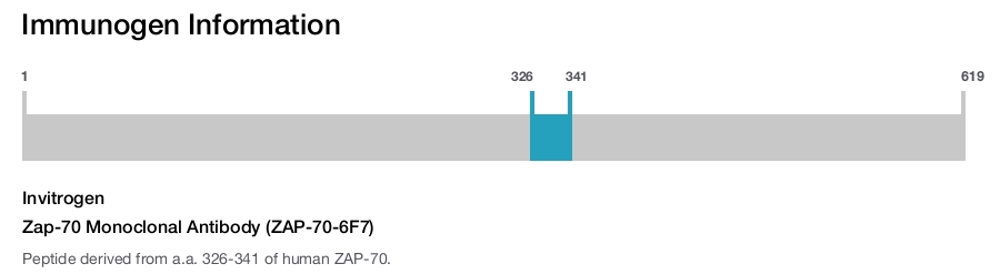 Zap-70 Monoclonal Antibody (ZAP-70-6F7)