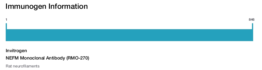 NEFM Monoclonal Antibody (RMO-270)