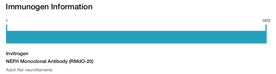 NEFH Monoclonal Antibody (RMdO-20)