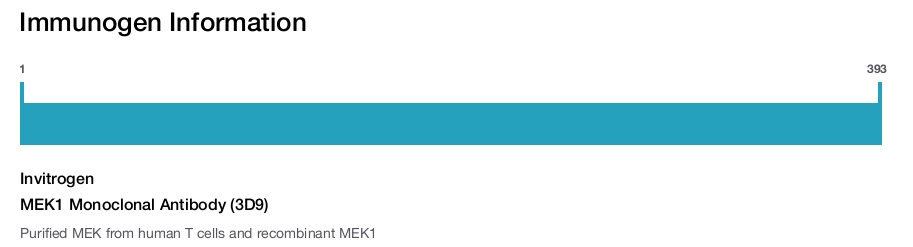 MEK1 Monoclonal Antibody (3D9)