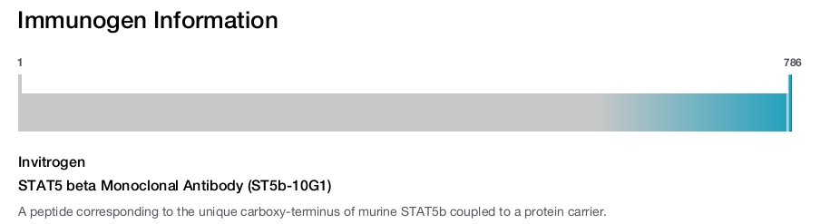 STAT5 beta Monoclonal Antibody (ST5b-10G1)