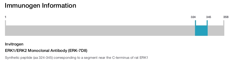 ERK1/ERK2 Monoclonal Antibody (ERK-7D8)
